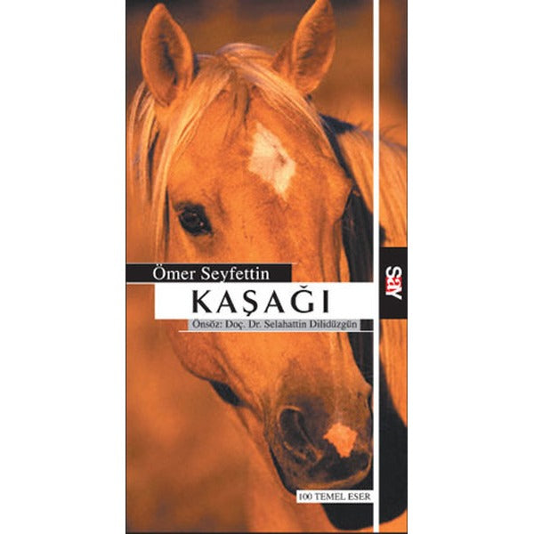 Kaşağı | Say Yayınları (İnce Kapak)