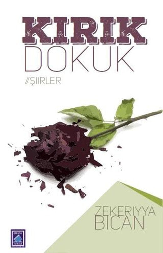 Kırık Dökük | Göl Yayıncılık (Ciltsiz)