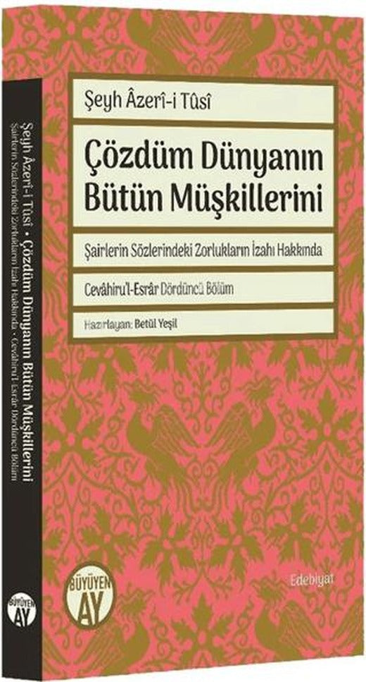 Çözdüm Dünyanın Bütün Müşkillerini