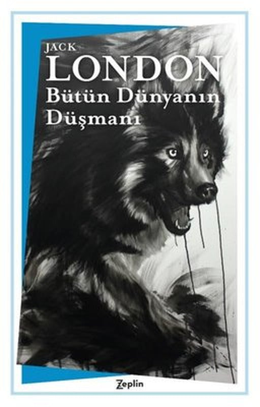 Bütün Dünyanın Düşmanı | Zeplin Kitap