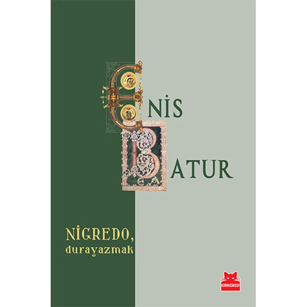 NigredoDurayazmak | Kırmızı Kedi