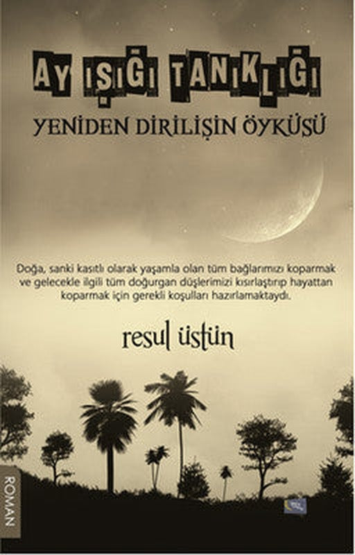 Ay Işığı Tanıklığı | Gece Kitaplığı