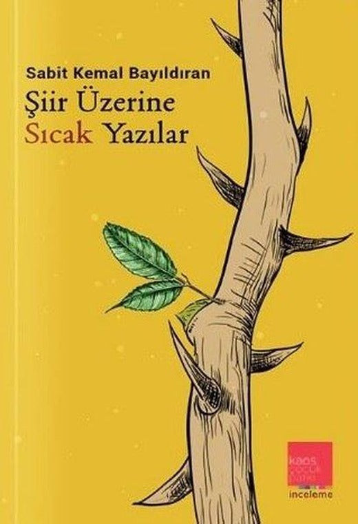 Şiir Üzerine Sıcak Yazılar | Kaos Çocuk Parkı (İnce Kapak)