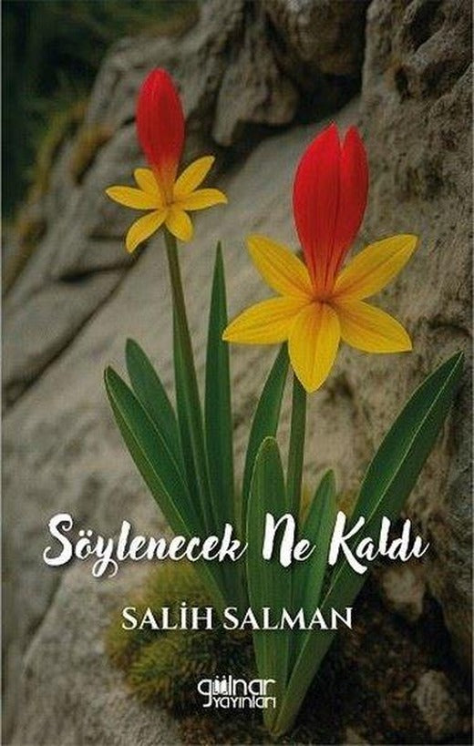 Söylenecek Ne Kaldı | Gülnar Yayınları (İnce Kapak)