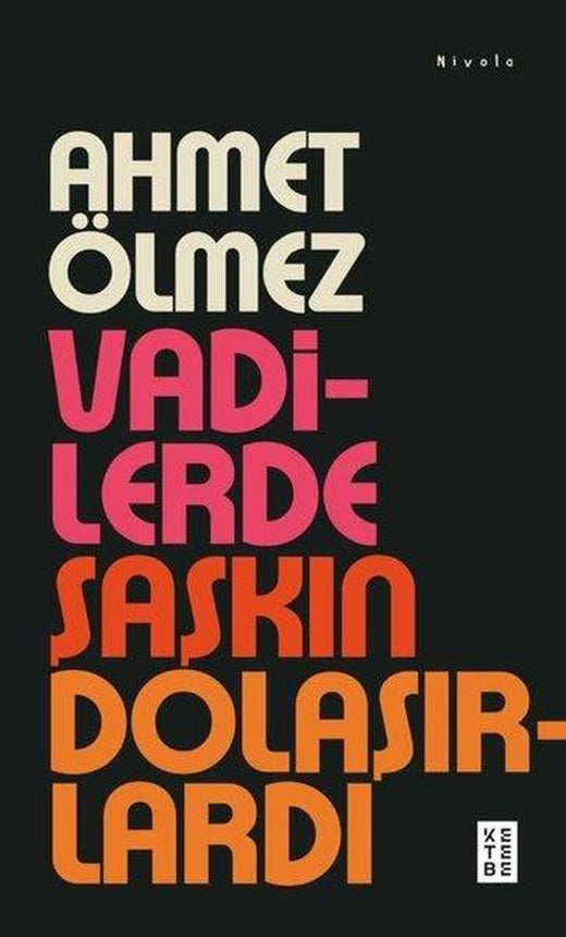 Vadilerde Şaşkın Dolaşırlardı | Ketebe (İnce Kapak)