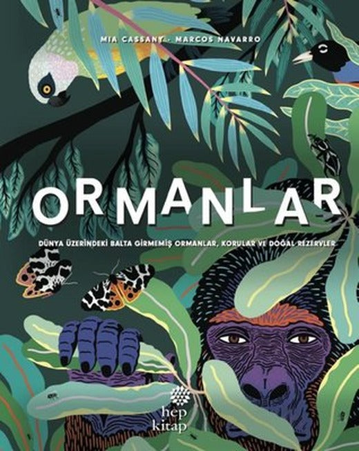 Ormanlar - Dünya Üzerindeki Balta Girmemiş OrmanlarKorular ve Doğal Rezervler | Hep Kitap