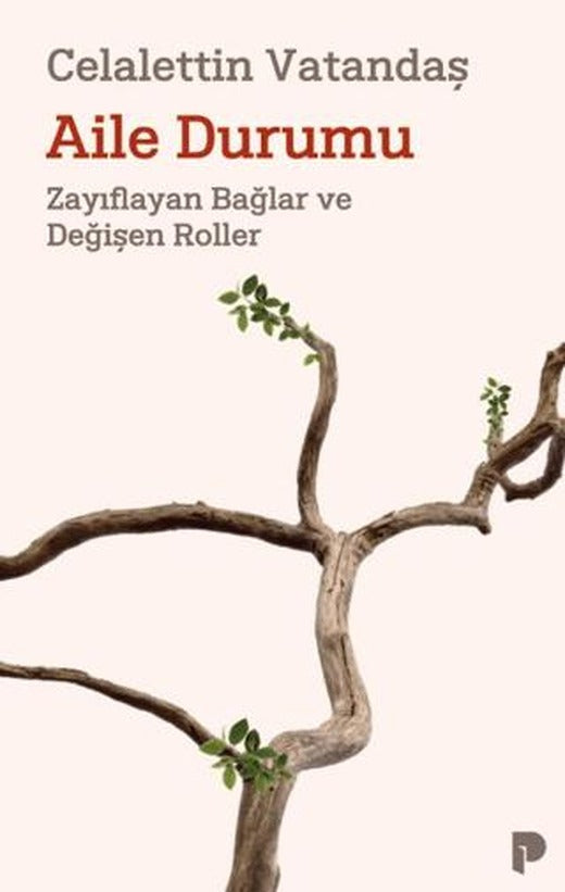 Aile Durumu