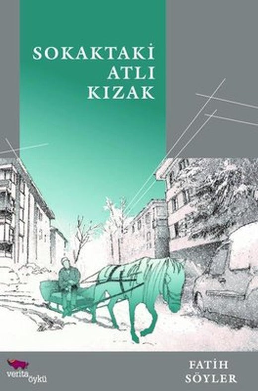 Sokaktaki Atlı Kızak | Verita