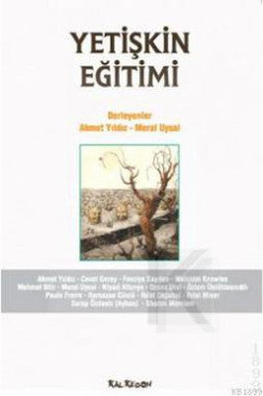 Yetişkin Eğitimi | Kalkedon
