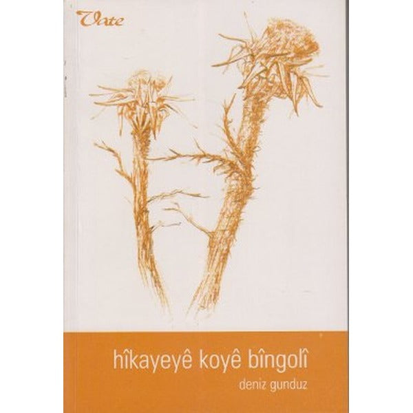 Hikayeye Koye Bingoli