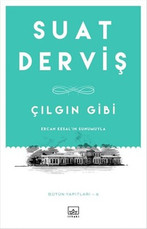 Çılgın Gibi | İthaki Yayınları