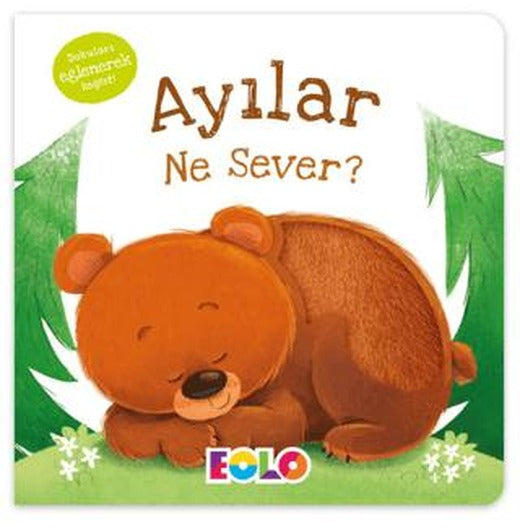 Ayılar Ne Sever?