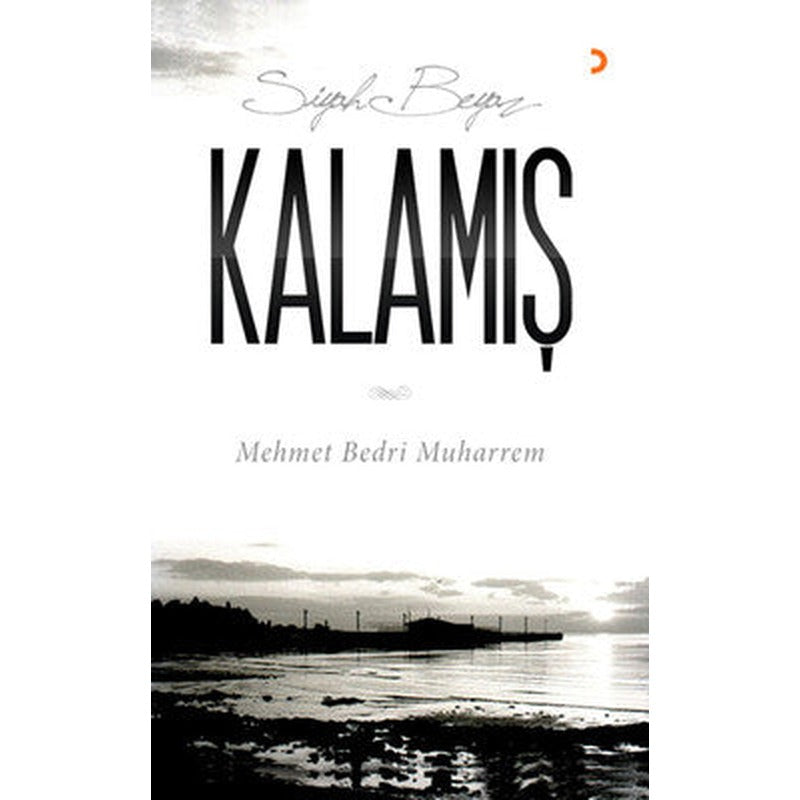 Siyah Beyaz Kalamış | Cinius