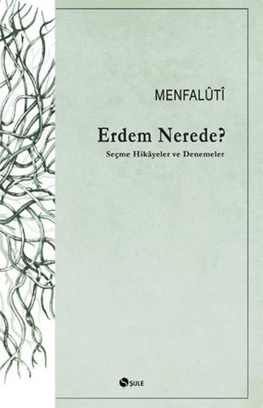 Erdem Nerede?