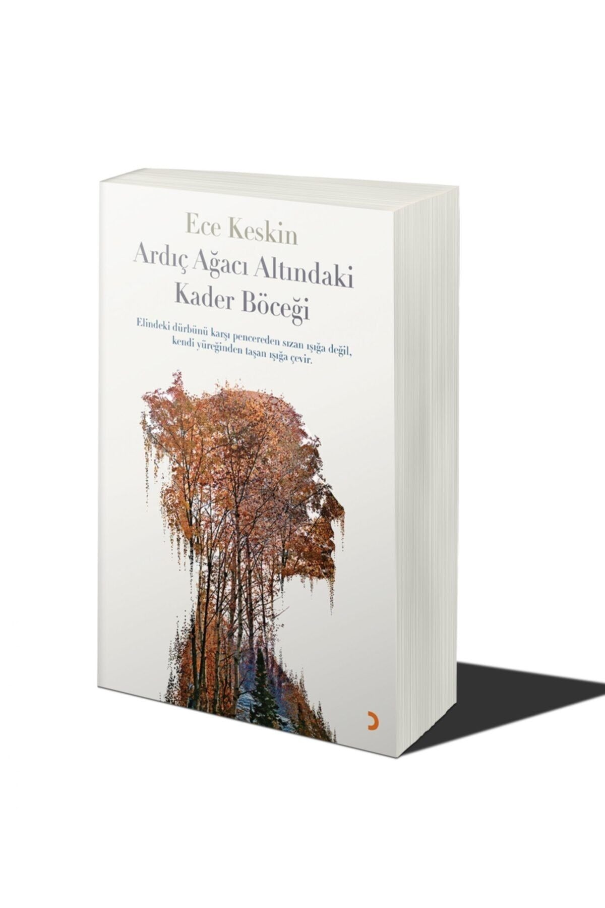 Ardıç Ağacı Altındaki Kader Böceği