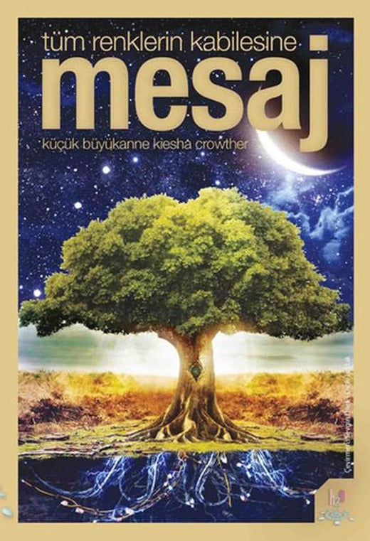 Mesaj | h2o Kitap (İnce Kapak)