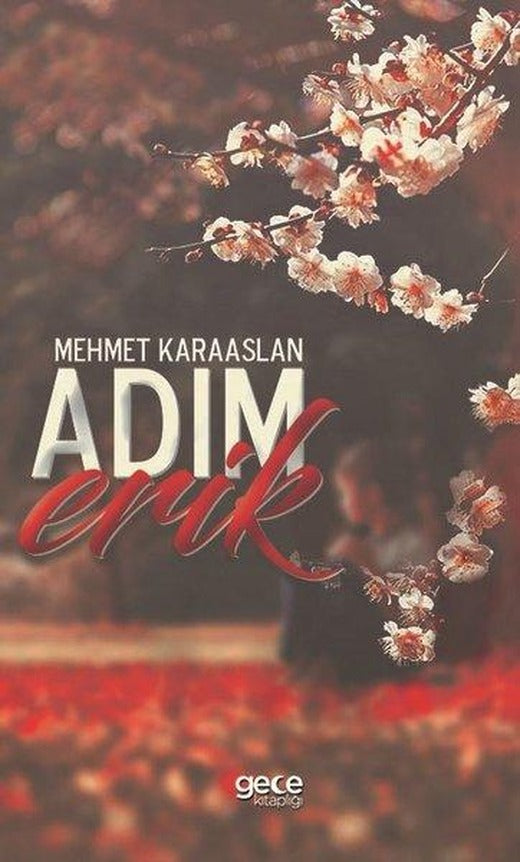 Adım Erik | Gece Kitaplığı (İnce Kapak)