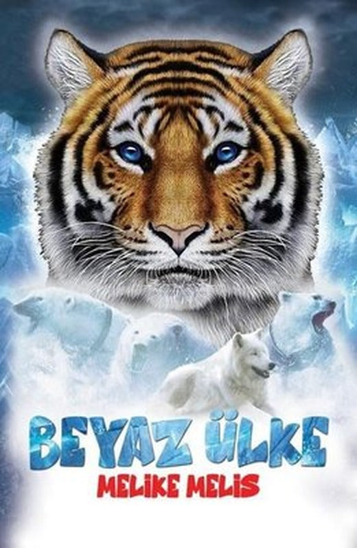 Beyaz Ülke | Mahzen