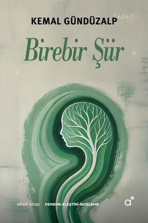 Birebir Şiir | Alkali Kitap (İnce Kapak )