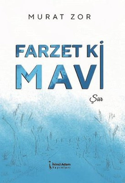 Farzet ki Mavi | İkinci Adam Yayınları