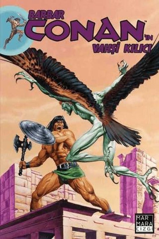 Barbar Conan'ın Vahşi Kılıcı Cilt: 20
