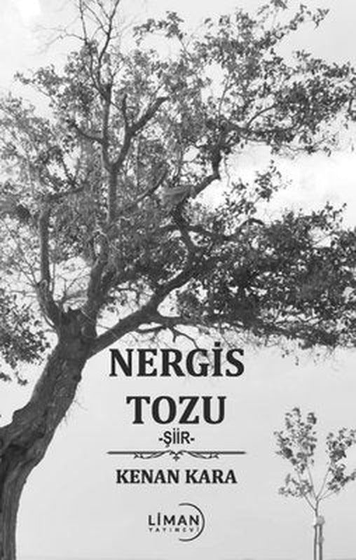 Nergis Tozu | Liman Yayınevi (İnce Kapak)