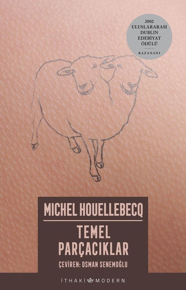 Temel Parçacıklar | İthaki Yayınları