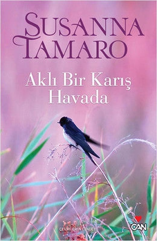Aklı Bir Karış Havada | Can Yayınları