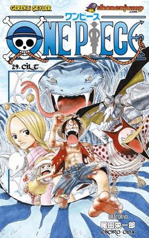 One Piece Cilt: 29