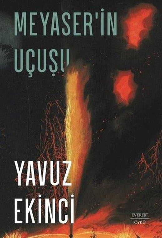 Meyaser'in Uçuşu | Everest Yayınları (İnce Kapak)