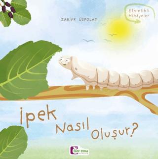 İpek Nasıl Oluşur?