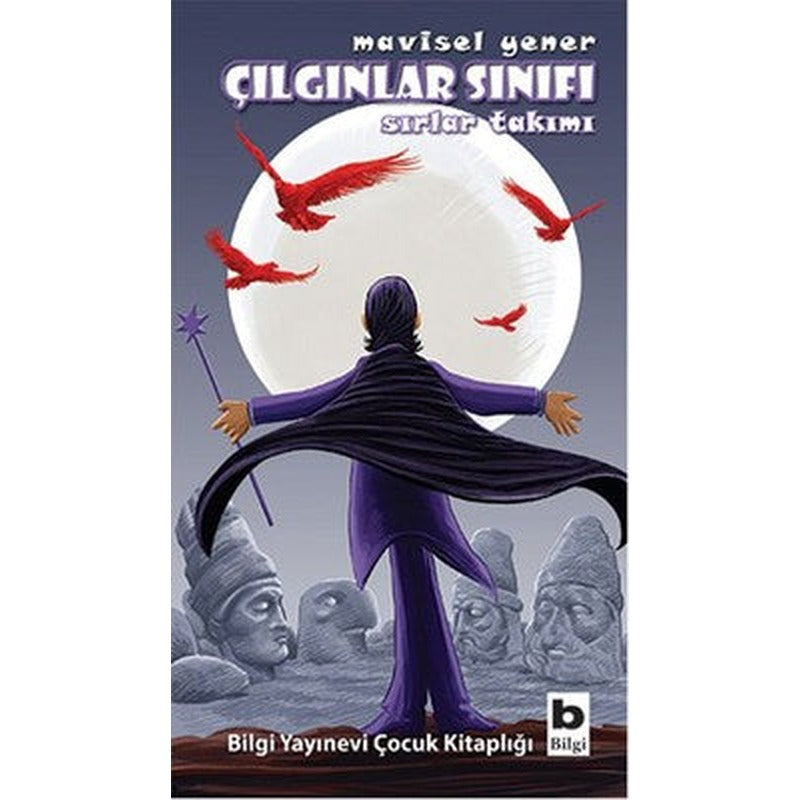 Çılgınlar Sınıfı - Sırlar Takımı | Bilgi Yayınevi