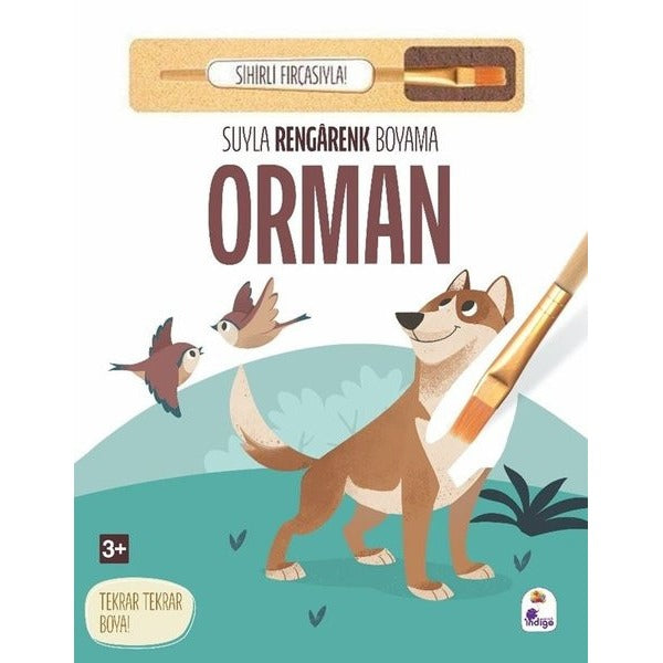 Orman - Suyla Rengarenk Boyama - Sihirli Fırçasıyla! | İndigo Çocuk (Ciltli)