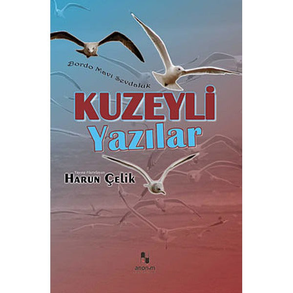 Kuzeyli Yazılar