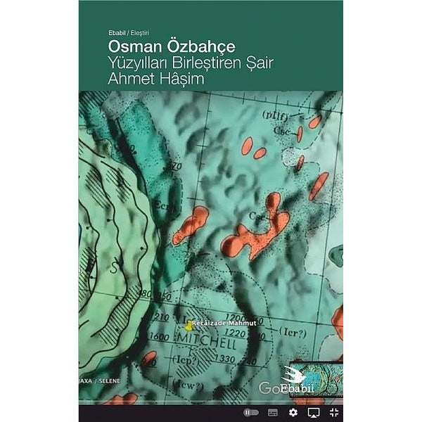 Yüzyılları Birleştiren Şair: Ahmet Haşim | Ebabil (İnce Kapak)
