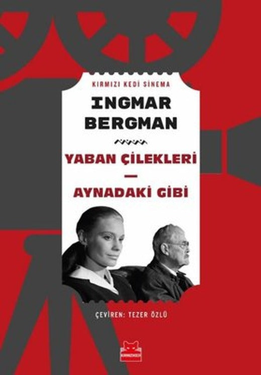Yaban Çilekleri - Aynadaki Gibi | Kırmızı Kedi