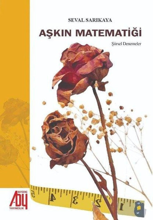 Aşkın Matematiği | Baygenç Yayıncılık (İnce Kapak)