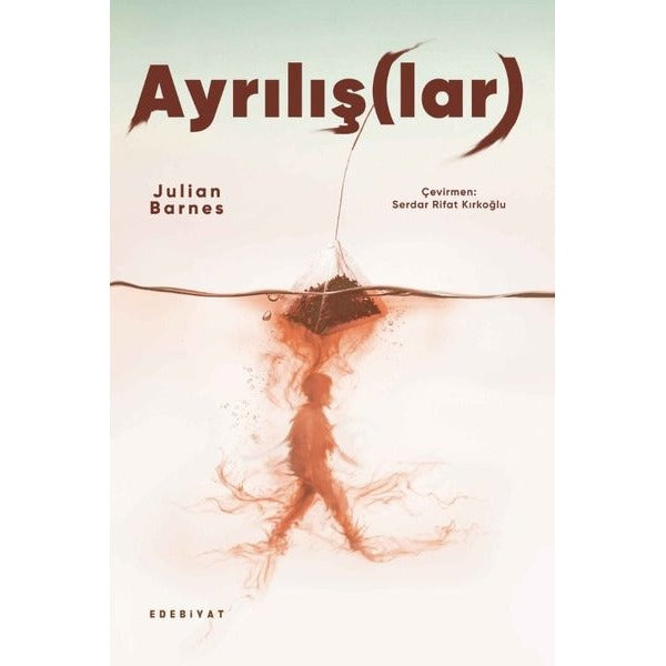 Ayrılışlar | Ayrıntı Yayınları (İnce Kapak)
