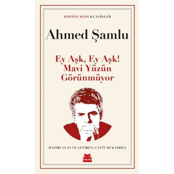 Ey Aşk, Ey Aşk! Mavi Yüzün Görünmüyor