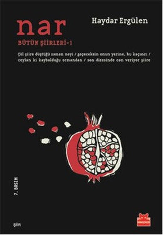Nar | Edebiyatist Yayınları