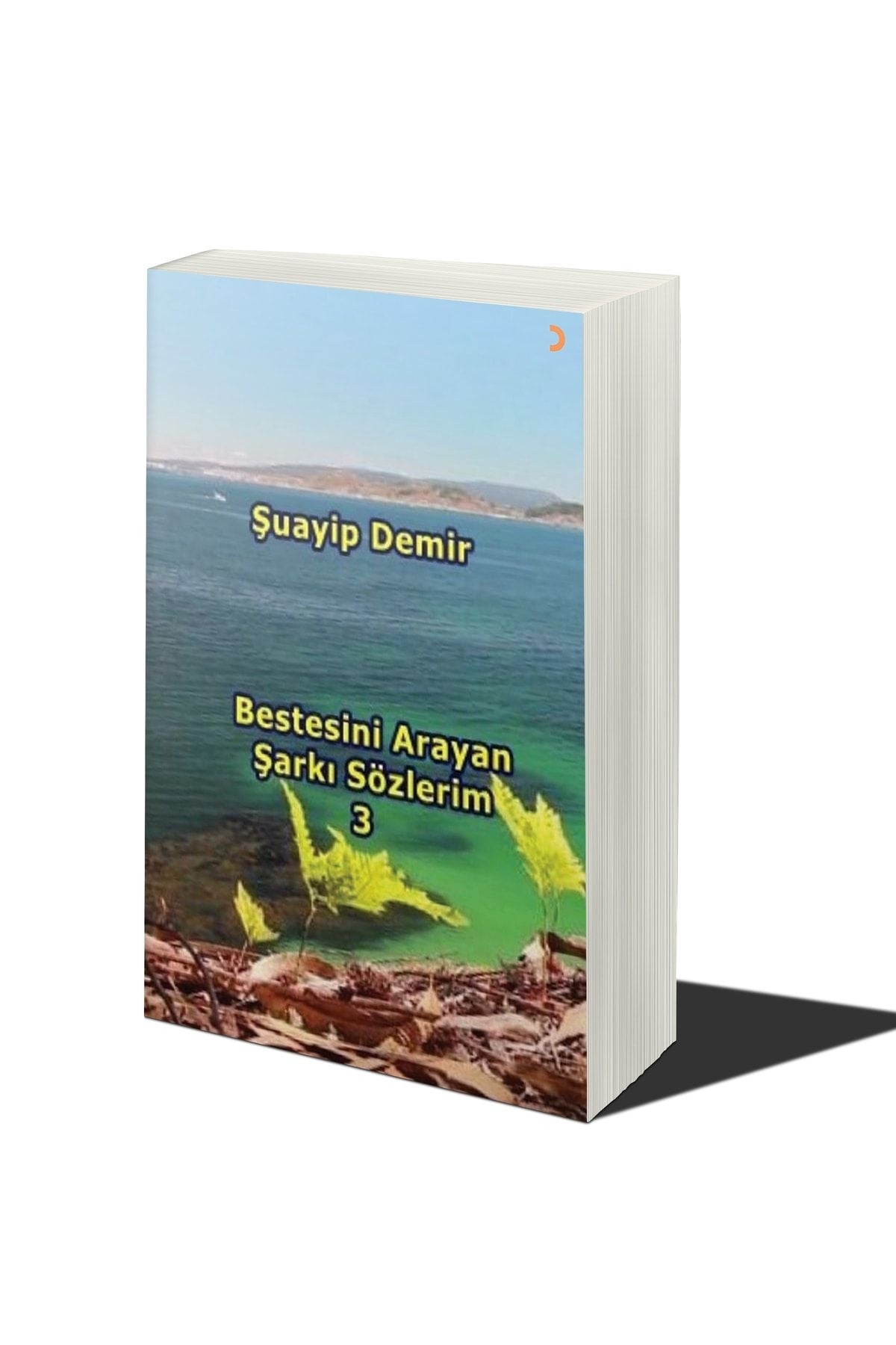 Bestesini Arayan Şarkı Sözlerim 3