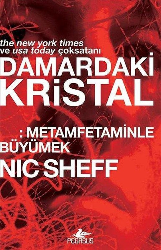 Damardaki Kristal: Metamfetaminle Büyümek | Pegasus (İnce Kapak)
