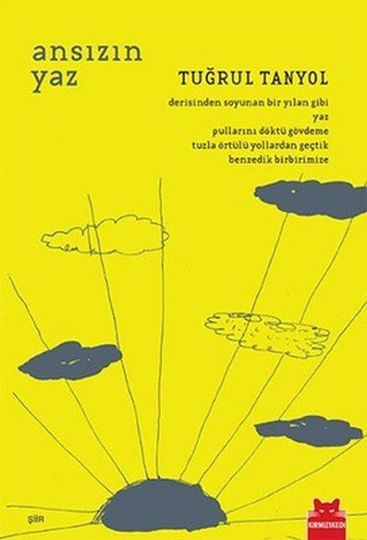 Ansızın Yaz | Kırmızı Kedi