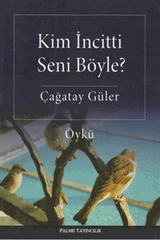 Kim İncitti Seni Böyle? | Palme Yayıncılık (Ciltsiz)