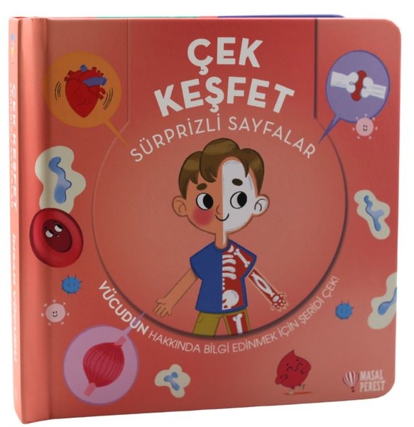 Çek Keşfet İnsan Vücudu