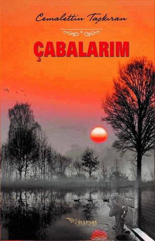 Çabalarım | Tulpars Yayınevi (Ciltsiz)