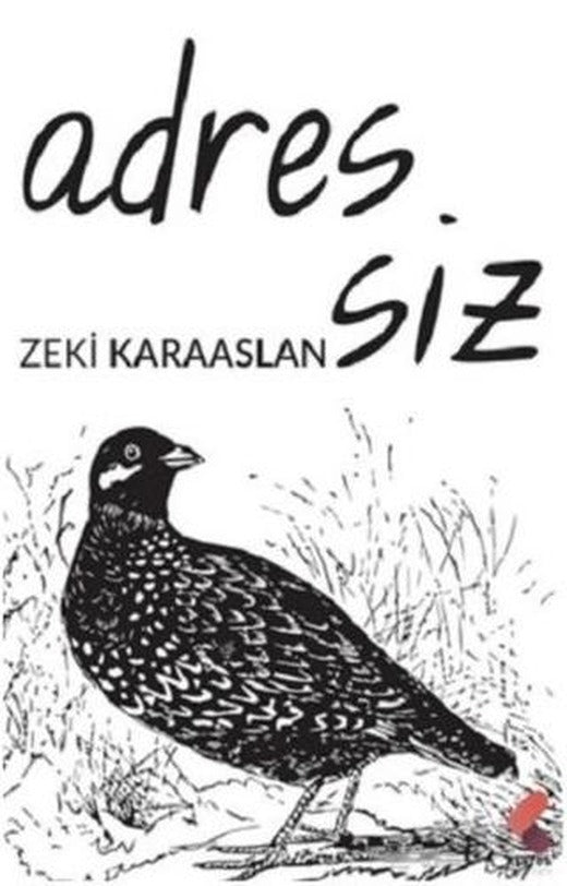 Adressiz | Klaros Yayınları (Ciltsiz)