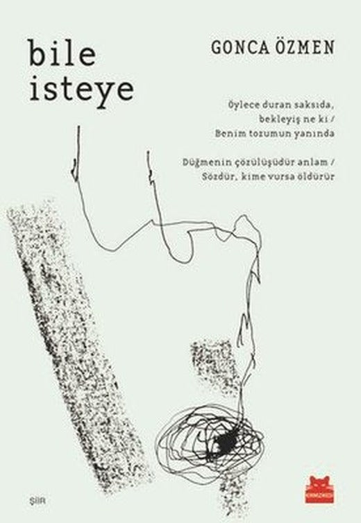 Bile İsteye | Kırmızı Kedi