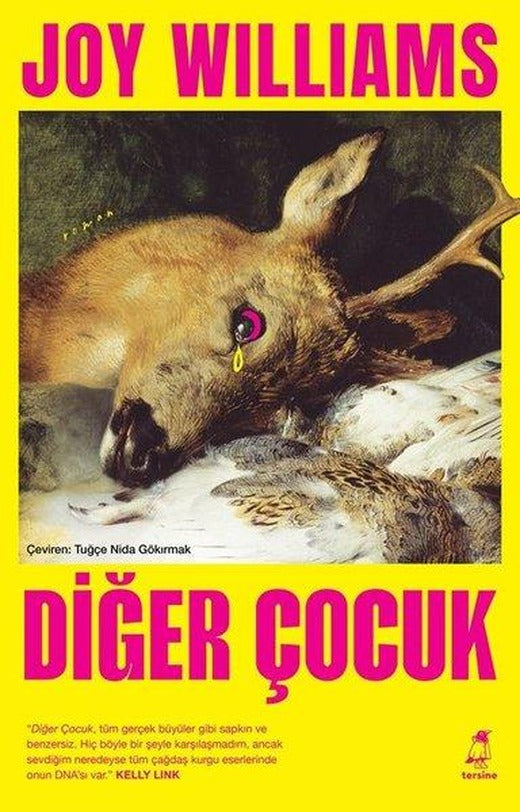 Diğer Çocuk | Tersine Kitap Yayınları (İnce Kapak)