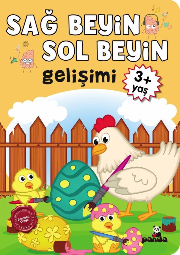 3 Yaş Sağ Beyin - Sol Beyin Gelişimi | Panda